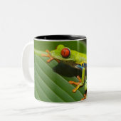 Grüner, farbiger Dschungelbaumfrosch Zweifarbige Tasse (Vorderseite Links)