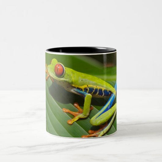 Grüner, farbiger Dschungelbaumfrosch Zweifarbige Tasse (Mittel)