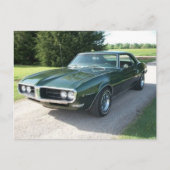 Grüner Feuervogel Postkarte (Vorderseite)