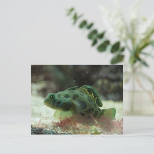 Grüner Fisch Postkarte (Stehend Vorderseite)