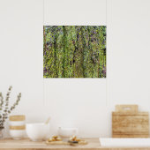 Grüner Flechte auf Baumrinde Natur Poster (Küche)
