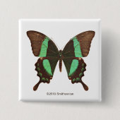 Grüner Frack-Schmetterling Button (Vorderseite)