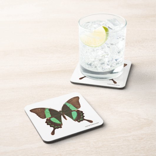 Grüner Frack-Schmetterling Getränkeuntersetzer (Rechte Seite)