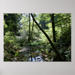 "Grüner Frieden", Muir Holz Poster