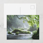 Grüner Frieden Postkarte (Vorne/Hinten)