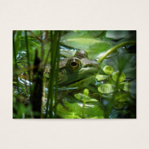 Grüner Frosch ATC-Foto-Karte