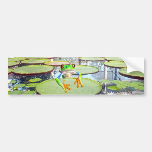 Grüner Frosch auf der Lily Pad, Autoaufkleber (Vorne)