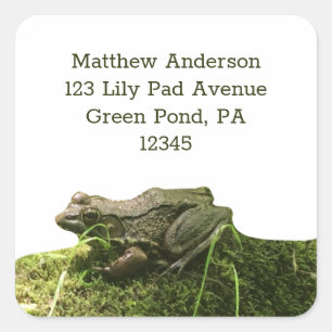 Grüner Frosch auf einem Mossy Rock Rücksendeadress Quadratischer Aufkleber