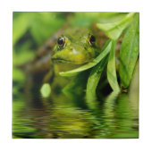 Grüner Frosch durch einen Teich Fliese (Vorderseite)