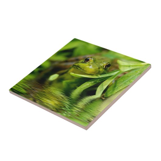 Grüner Frosch durch einen Teich Fliese (Seite)