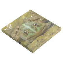 Grüner Frosch, gekämmt gegen Wetterbedingungen