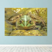 Grüner Frosch, gekämmt gegen Wetterbedingungen Leinwanddruck (Insitu (Holzboden))