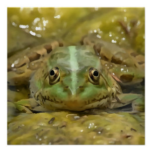 Grüner Frosch, gekämmt gegen Wetterbedingungen Poster