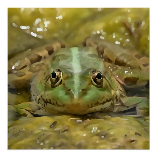 Grüner Frosch, gekämmt gegen Wetterbedingungen Poster (Vorderseite)