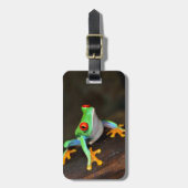 Grüner Frosch Gepäckanhänger (Vorderseite vertikal)