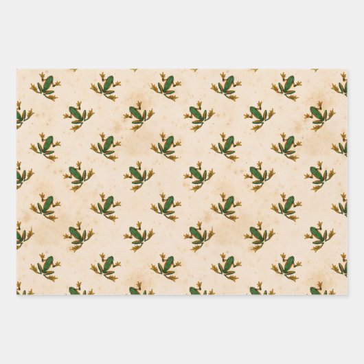 Grüner Frosch Geschenkpapier Set (Vorderseite 3)