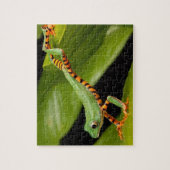 Grüner Frosch im Regenwald Puzzle (Vertikal)