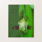 Grüner Frosch in einem Teich mit Schmetterling, Ji Puzzle (Vertikal)