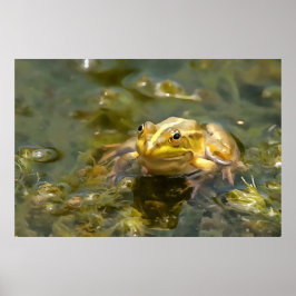 Grüner Frosch in glattem Wasser Akrylenmalerei Poster