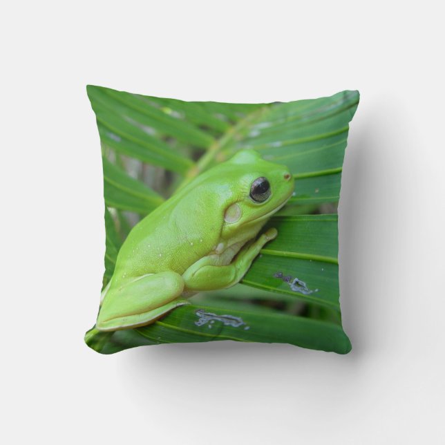 Grüner Frosch Kissen (Vorderseite)