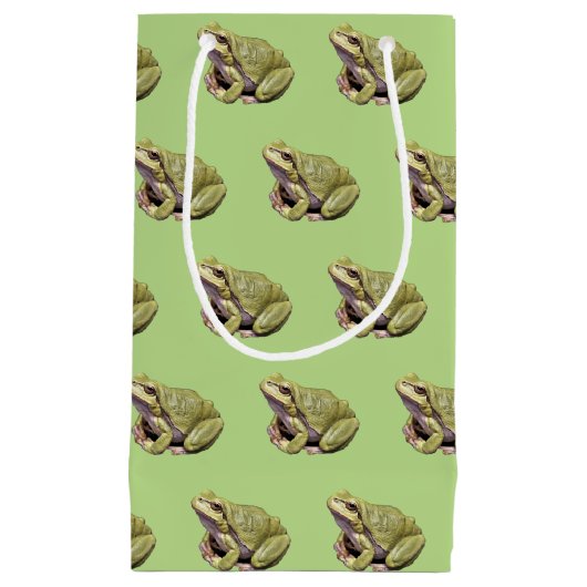 Grüner Frosch Kleine Geschenktüte (Vorderseite)