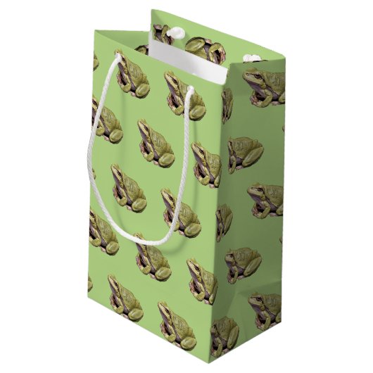 Grüner Frosch Kleine Geschenktüte (Rückseite Schrägansicht)