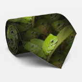 Grüner Frosch Krawatte (Gerollt)