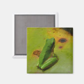 grüner Frosch Magnet (Vorderseite/Rückseite)