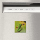 grüner Frosch Magnet (In Situ (Geschirrspüler))