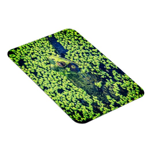 Grüner Frosch Magnet (Rechte Seite)