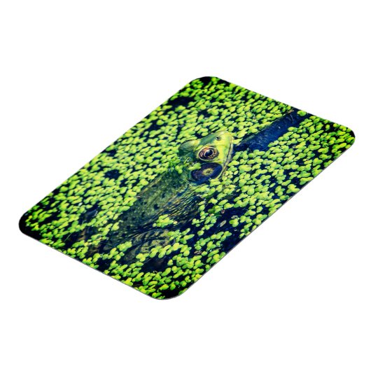 Grüner Frosch Magnet (Linke Seite)