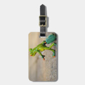 Grüner Frosch mit Koffer-Gepäckanhänger Gepäckanhänger (Vorderseite vertikal)