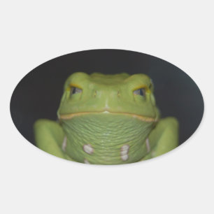 Grüner Frosch Ovaler Aufkleber