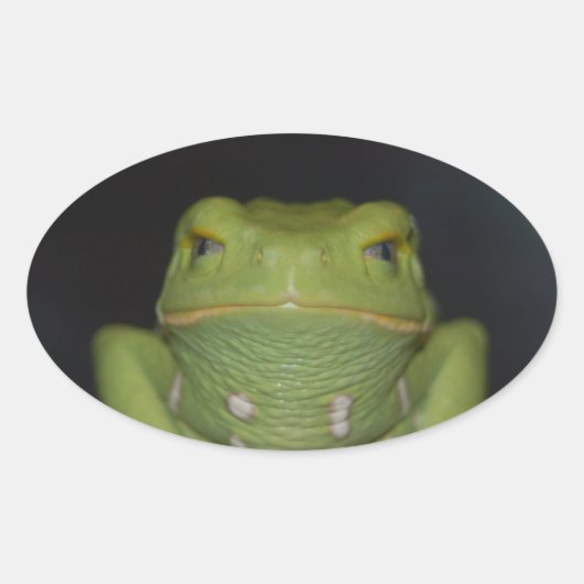 Grüner Frosch Ovaler Aufkleber (Vorderseite)