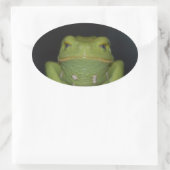 Grüner Frosch Ovaler Aufkleber (Tasche)