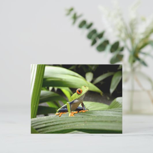 Grüner Frosch Postkarte (Stehend Vorderseite)
