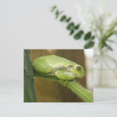 Grüner Frosch Postkarte (Stehend Vorderseite)
