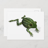 Grüner Frosch Postkarte (Vorne/Hinten)