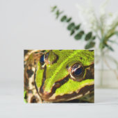 Grüner Frosch Postkarte (Stehend Vorderseite)