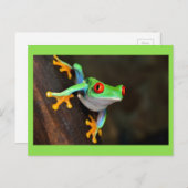 Grüner Frosch Postkarte (Vorne/Hinten)