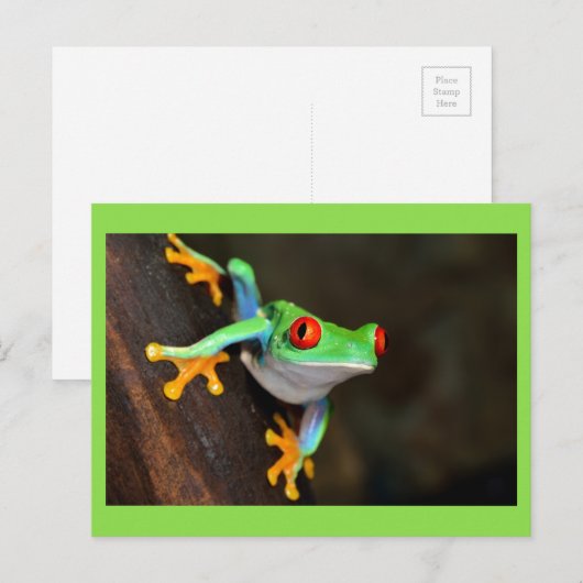 Grüner Frosch Postkarte (Vorne/Hinten)