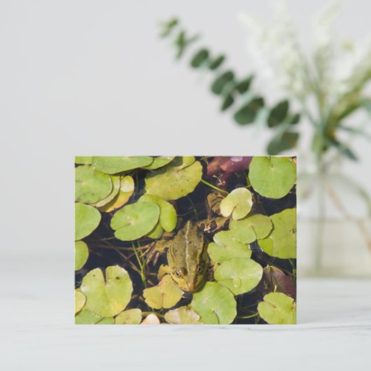 Grüner Frosch Postkarte (Stehend Vorderseite)