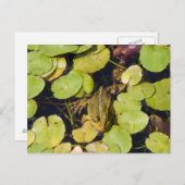 Grüner Frosch Postkarte (Vorne/Hinten)