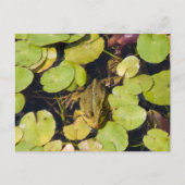 Grüner Frosch Postkarte (Vorderseite)