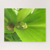 Grüner Frosch Puzzle (Horizontal)