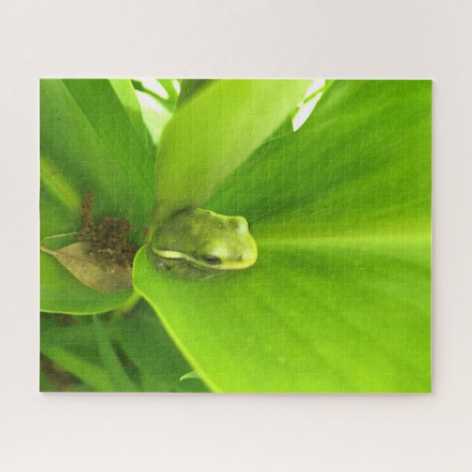 Grüner Frosch Puzzle (Horizontal)