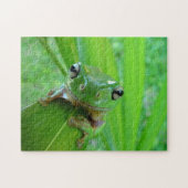 Grüner Frosch-Puzzlespiel Puzzle (Horizontal)