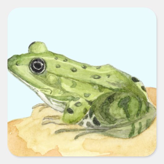 Grüner Frosch Quadratischer Aufkleber (Vorderseite)