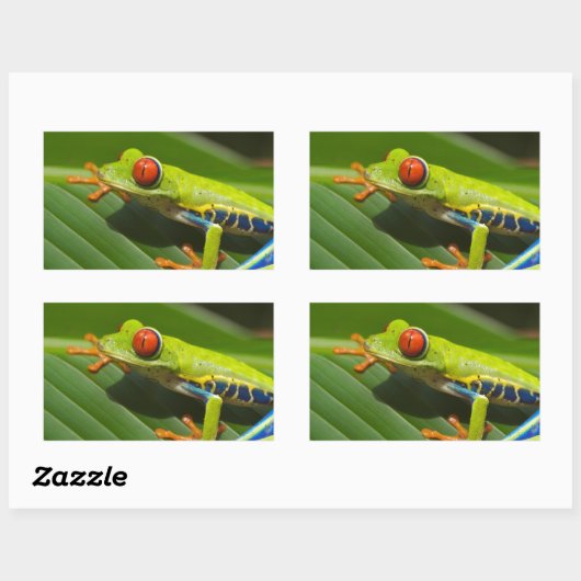 Grüner Frosch Rechteckiger Aufkleber (Blatt)