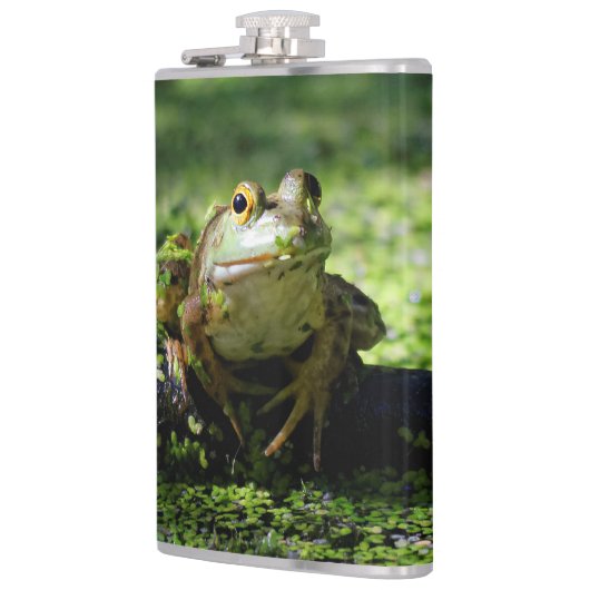 Grüner Frosch schlägt eine Pose auf dem Schlauch Flachmann (Links)